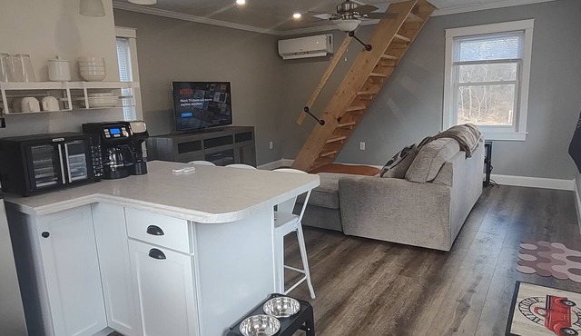 Pet-friendly cottage in the country 15 mn from Mayo Clinic