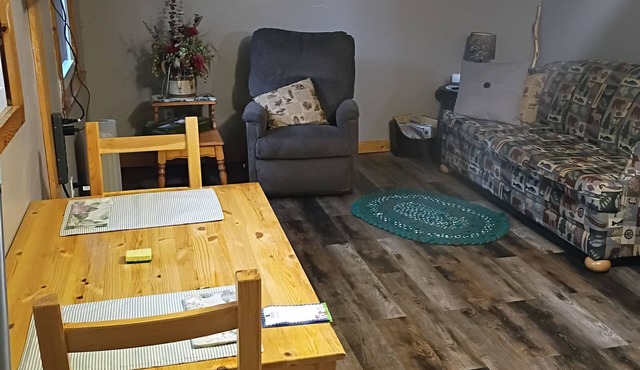 Pleasant cabin with AC in Brainerd - 2 bed. shower ,fridge, fire pit, in Brainerd