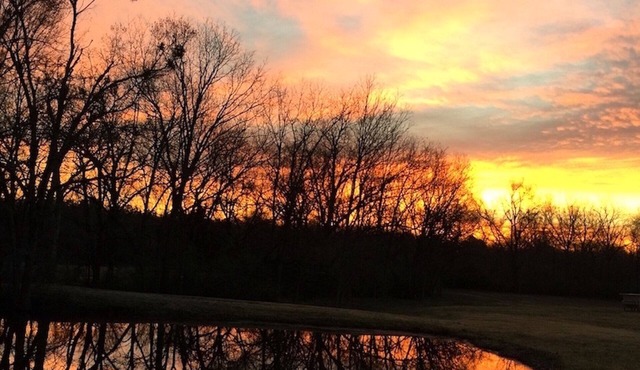 Private cottage situated on 6.5 acres, beautiful sunrises, pond, fishing & more. in Detroit