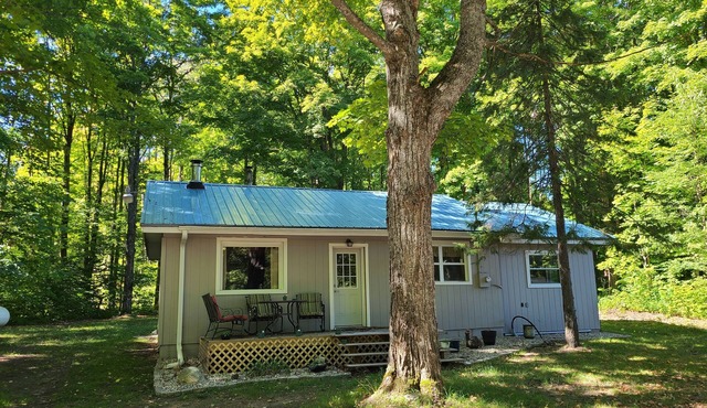 Quiet 2 bedroom cabin in the woods