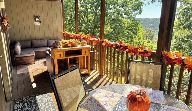 Rustic Ozark Retreat (First Responder Owner) in Branson West