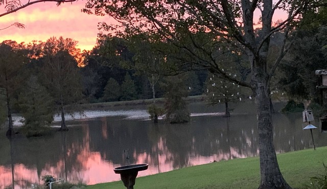 Scenic, upscale country living minutes from I-10 & I-49, & downtown Lafayette., in Carencro