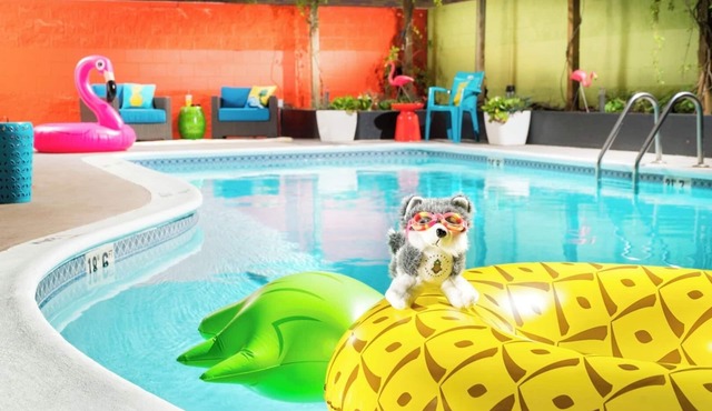 Seattle Stay w/Welcoming Vibes | Seasonal Outdoor Pool Access, 2 Family Rooms in Seattle