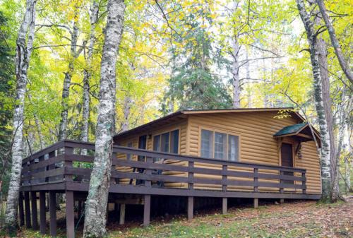 Spacious 3 Bed House - True Cabin in the Woods - Parking - Netflix CB04 in Babbitt