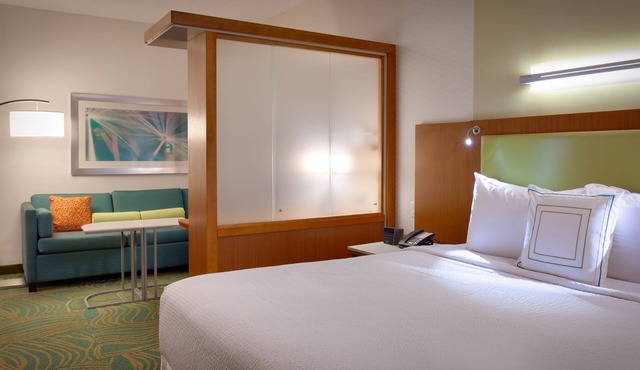 Springhill Suites Houston I-45 North in Houston