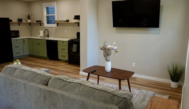 Stunning Newly Remodeled 1-Bedroom