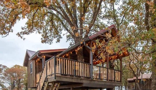 The Chickadee Treehouse 15MIN to Magnolia & Baylor in Elm Mott
