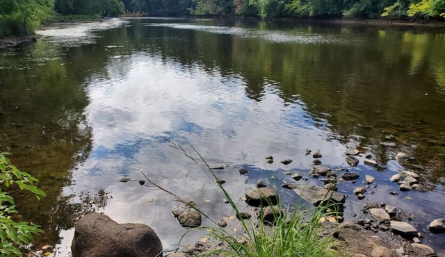 Two Private Riverfront Cabins for friends and family