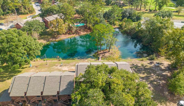 unFOREgettable 19th hole condo - steps from the Country Club & Golf - Pets OK! in Diamondhead