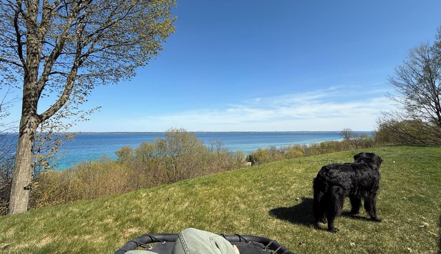 Violet’s View — Where Pets & People Vacation
