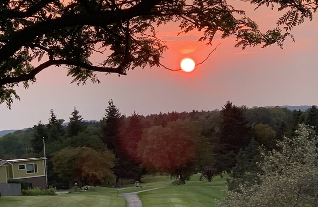Golf Course 