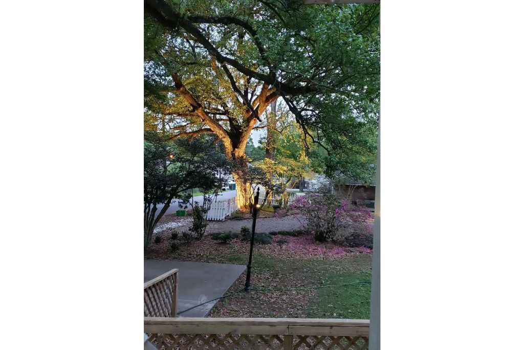 Photo of Outdoor in Zachary