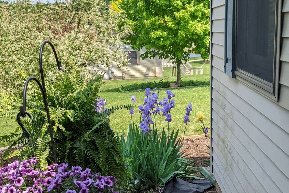 Photo of Outdoor in Shipshewana