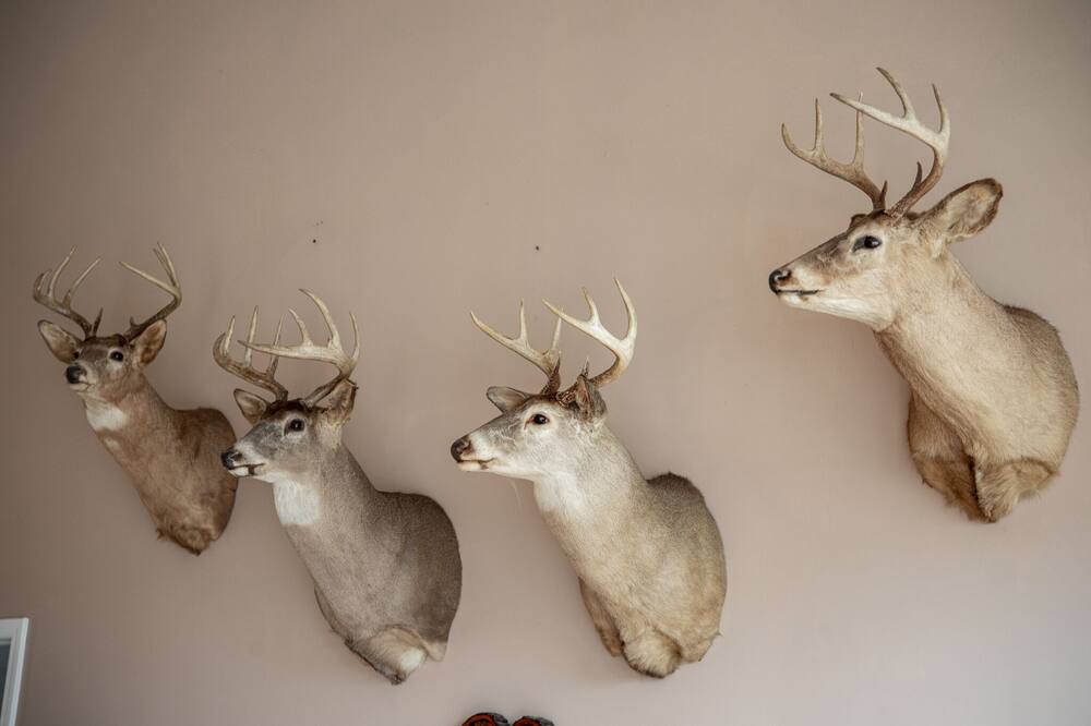 Photo of Others in Kalkaska