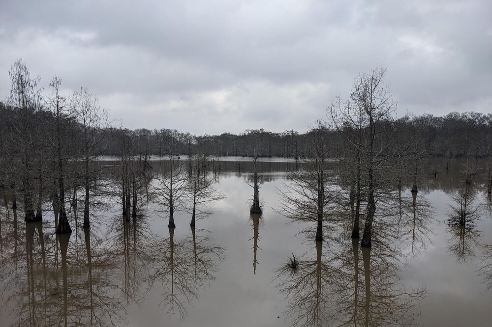 Photo of Others in Saint Landry