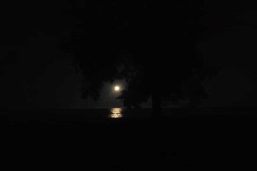 Photo of Others in Jacksonport