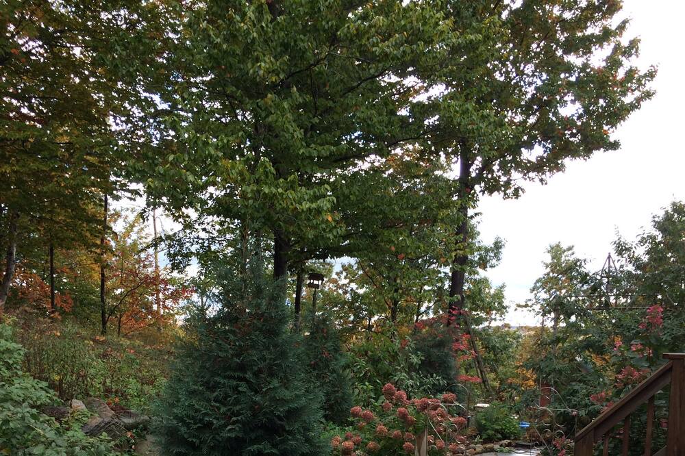 Photo of Outdoor in Arcadia