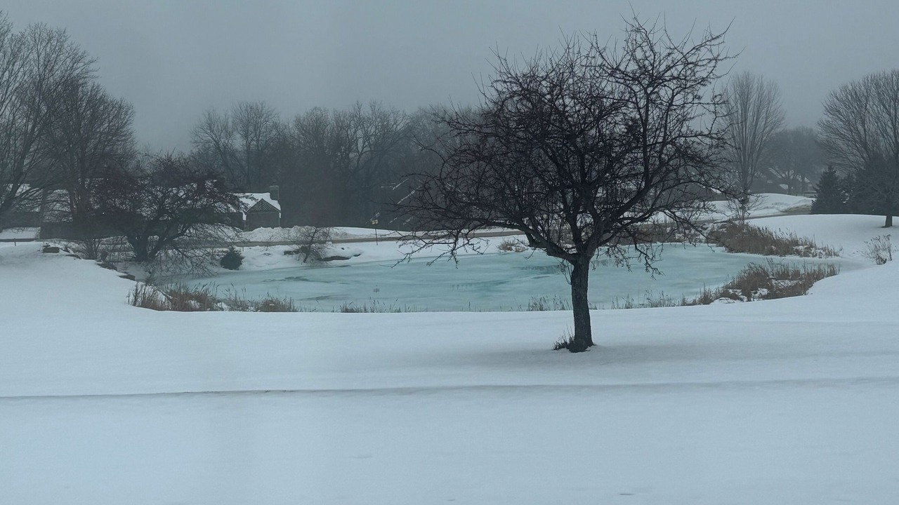 Photo of Others in The Galena Territory