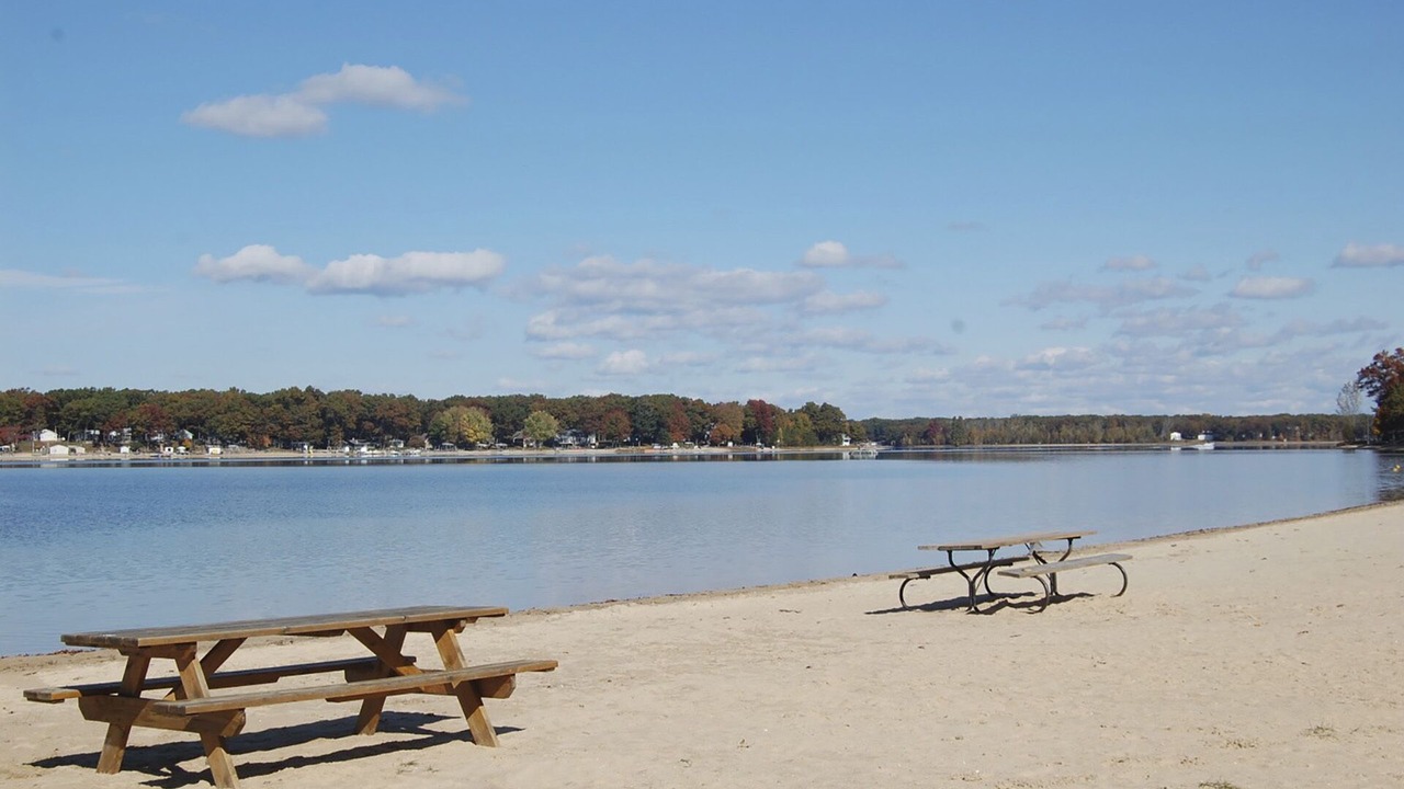 Photo of Others in Baldwin