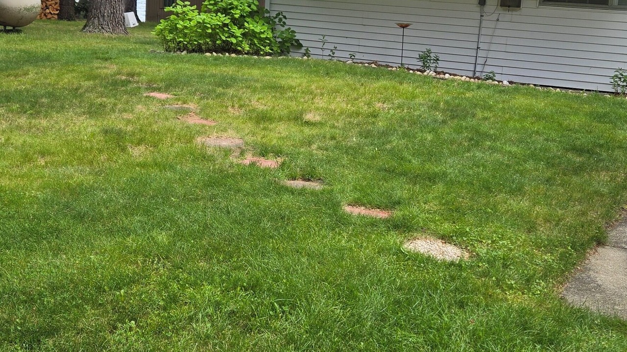 Photo of Outdoor in Mecosta