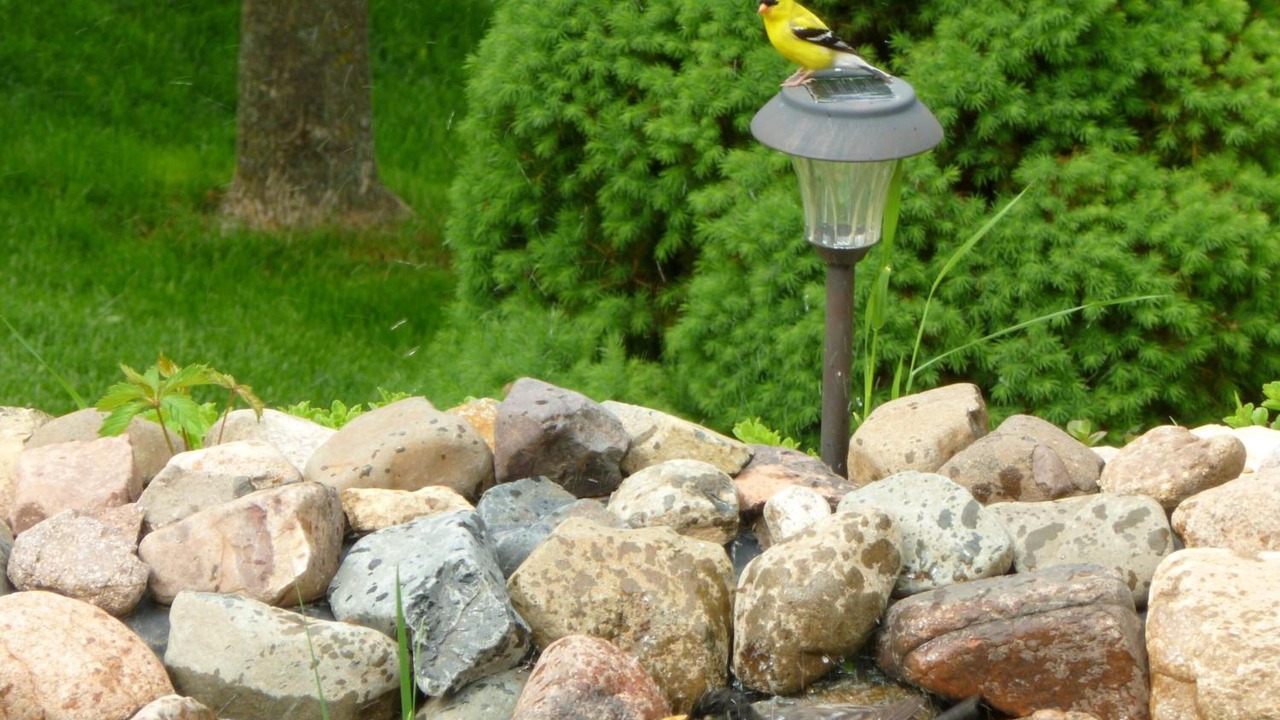 Photo of Outdoor in Marquette