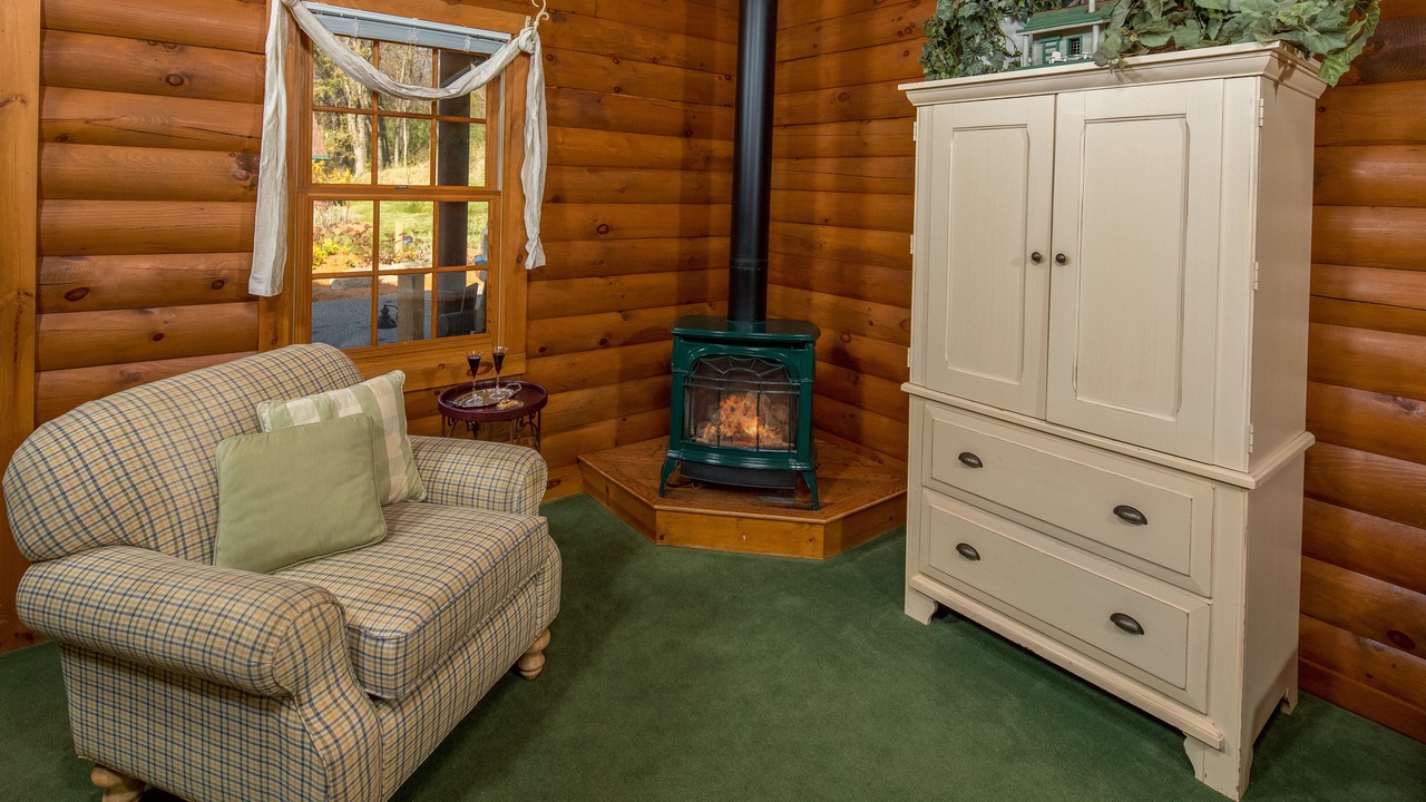 Photo of Livingroom in Galena