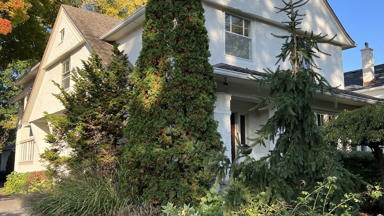 Photo of Outdoor in Oak Park