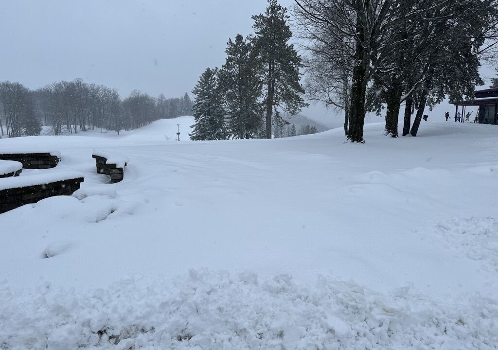 Photo of Outdoor in Gaylord