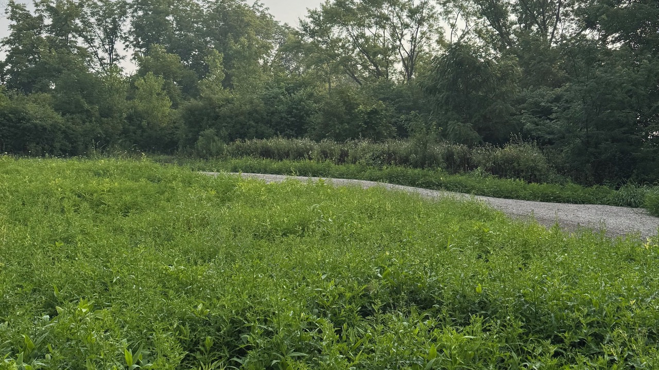 Photo of Others in Barrington