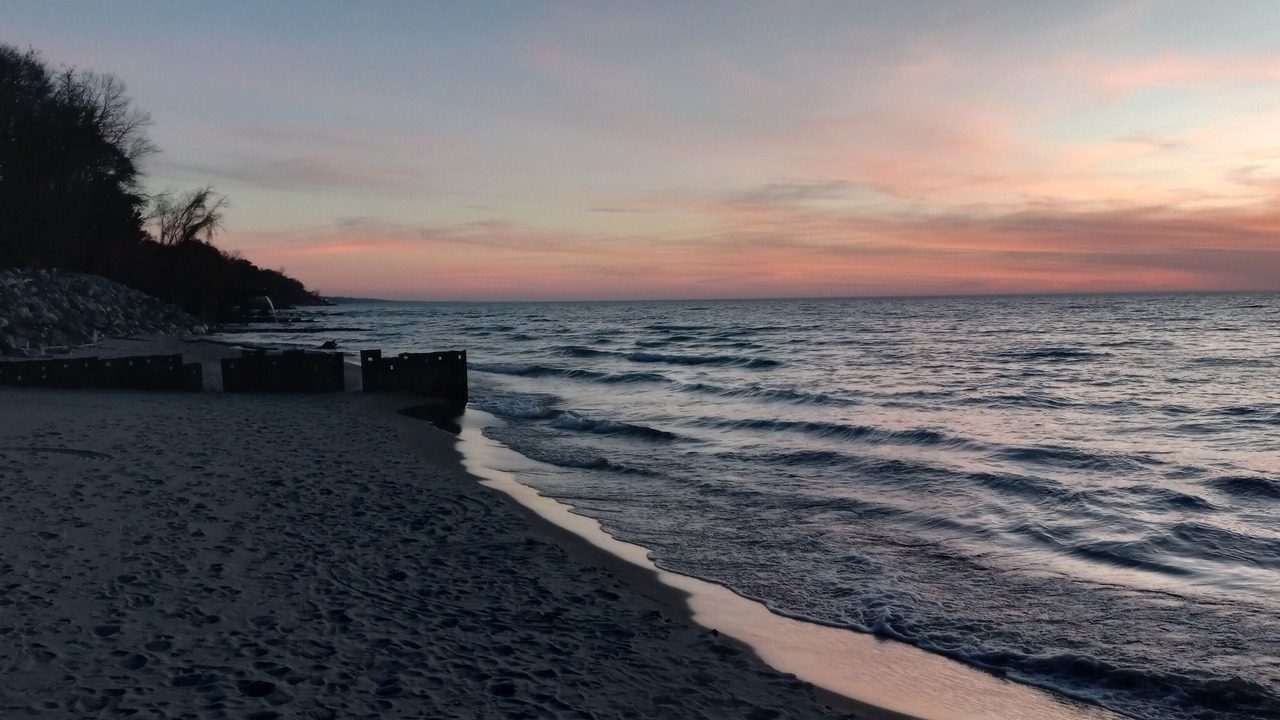 Photo of Others in South Haven