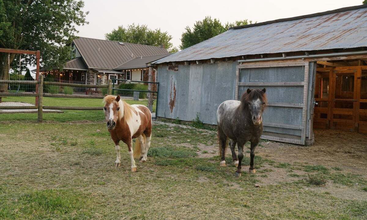Photo of Others in Lawrence County