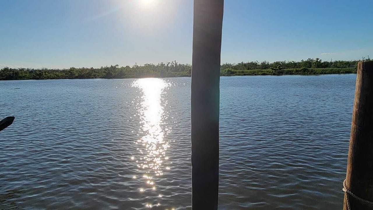 Photo of Outdoor in Lafitte