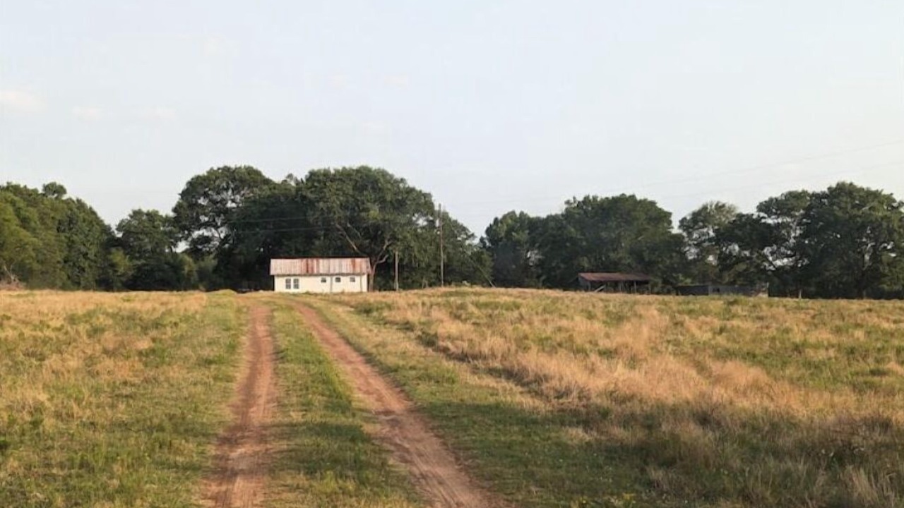 Photo of Others in Nacogdoches