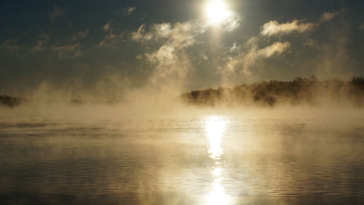 Photo of Outdoor in Alexandria