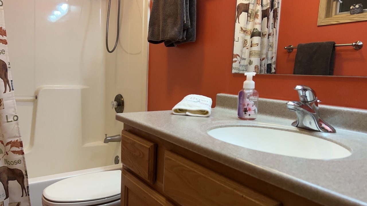 Photo of Bathroom in Michigan City