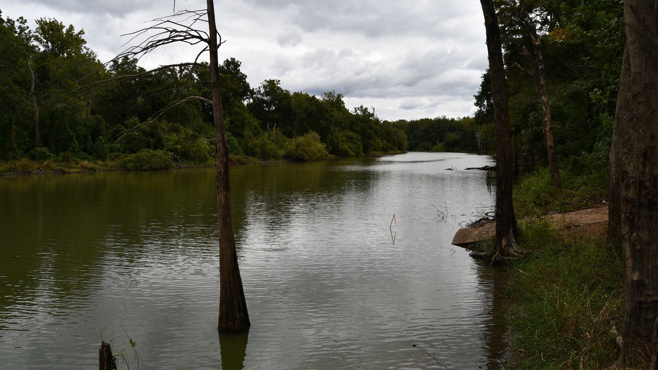 Photo of Others in Woodville