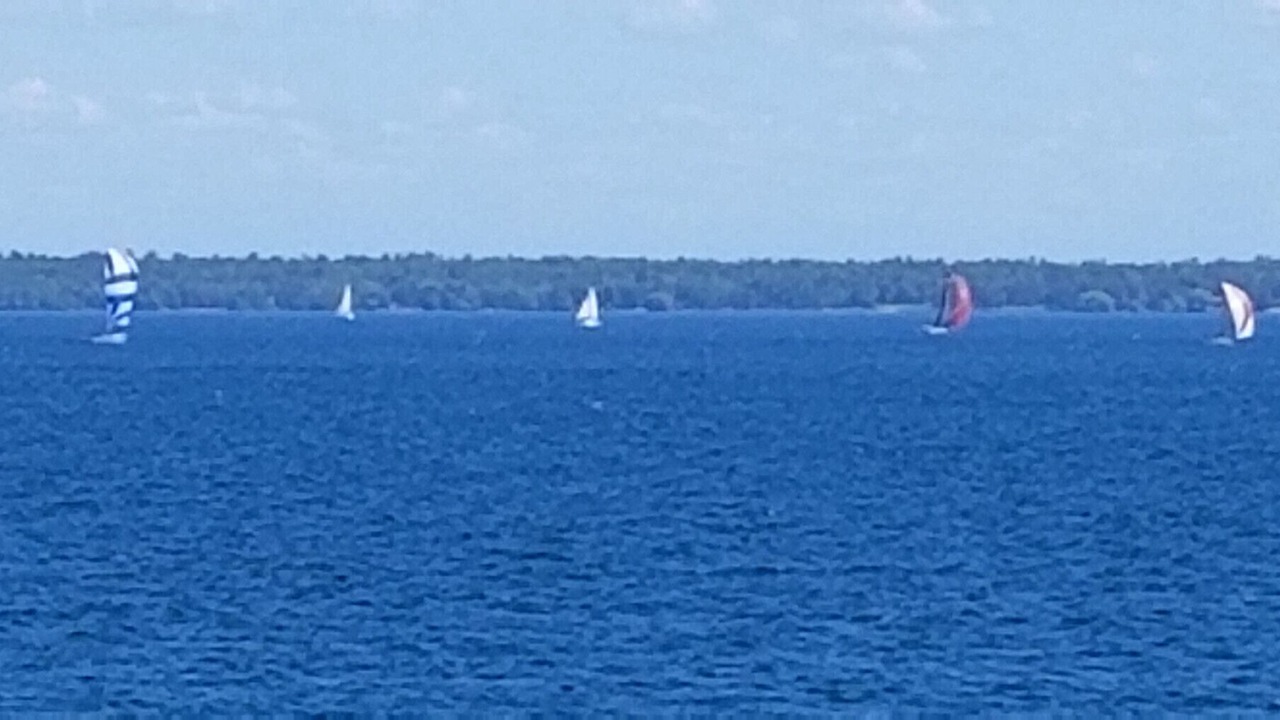 Photo of Others in Bayfield