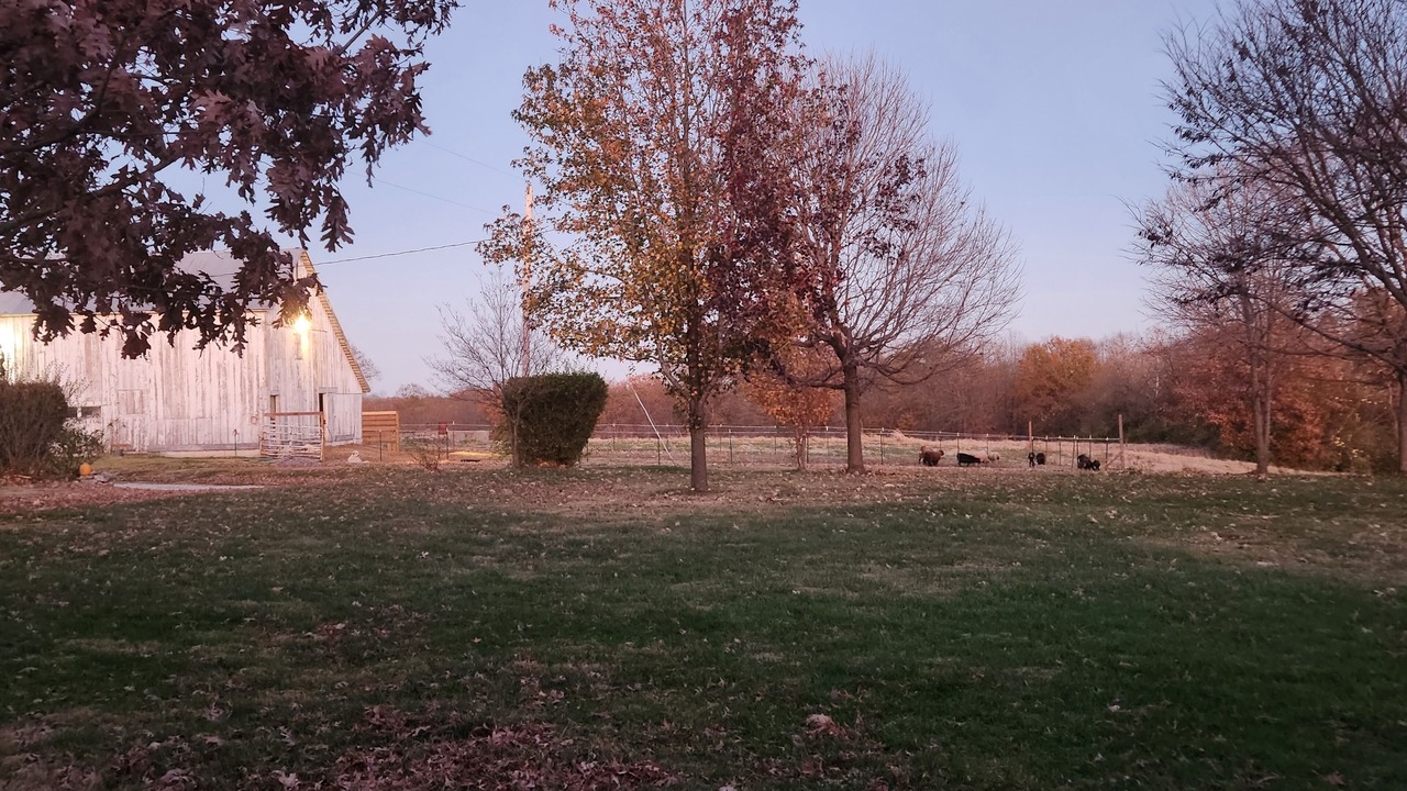 Photo of Outdoor in Michael