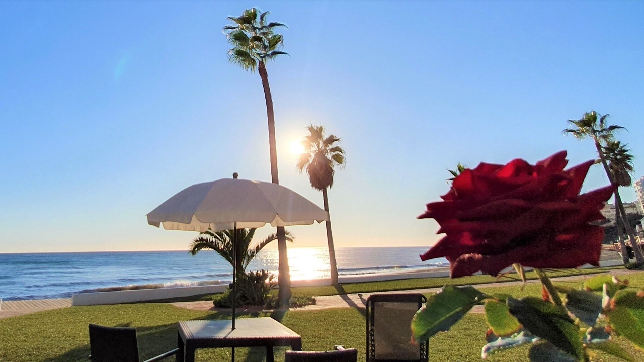 Photo of Outdoor in Calahonda