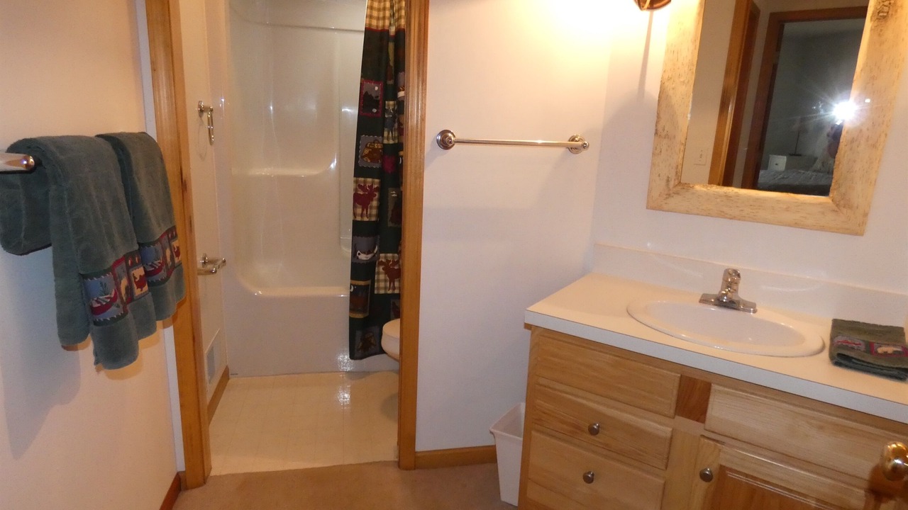 Photo of Bathroom in Mancelona