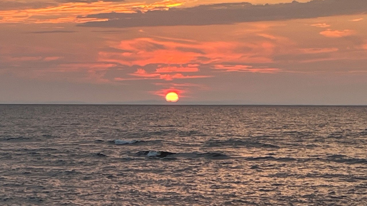 Photo of Others in Paradise
