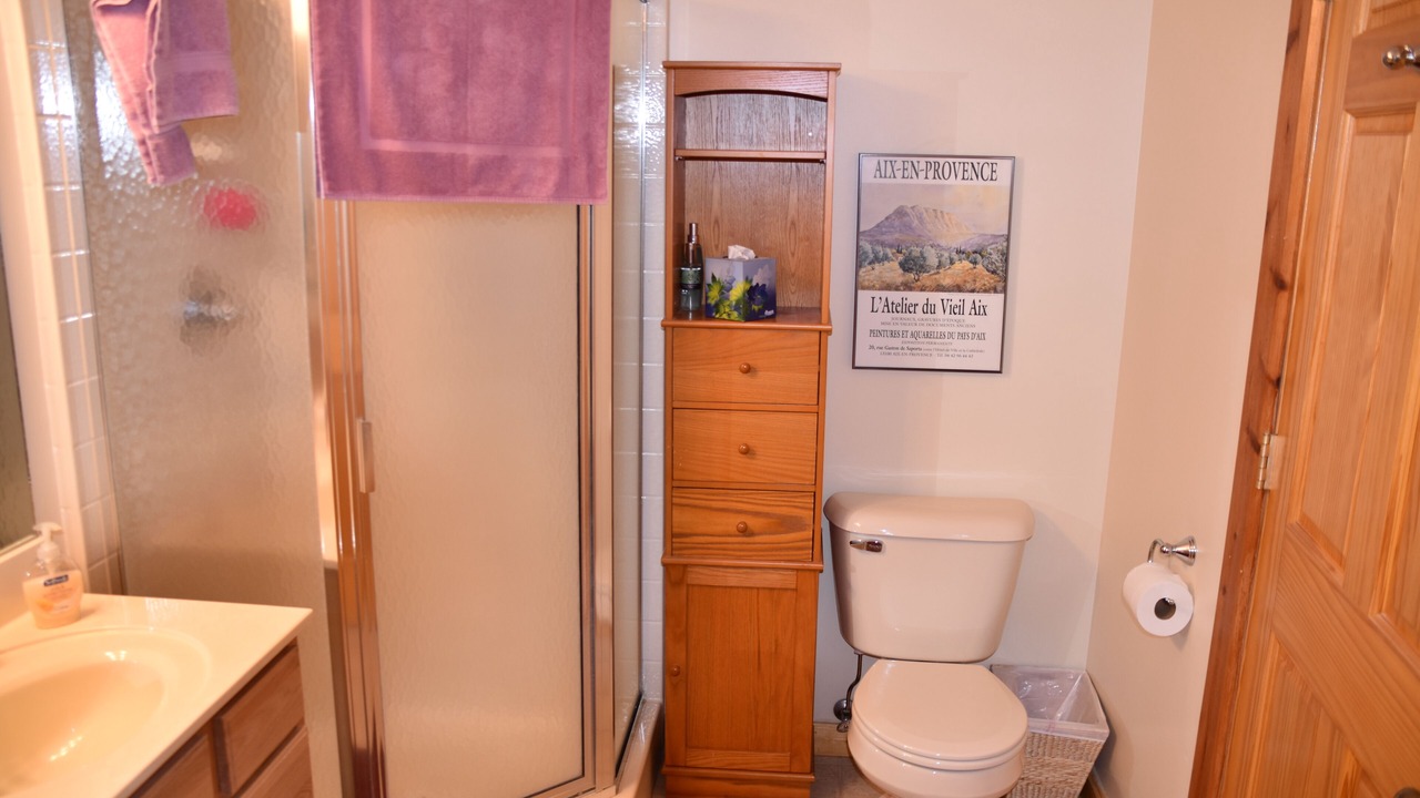 Photo of Bathroom in Mancelona