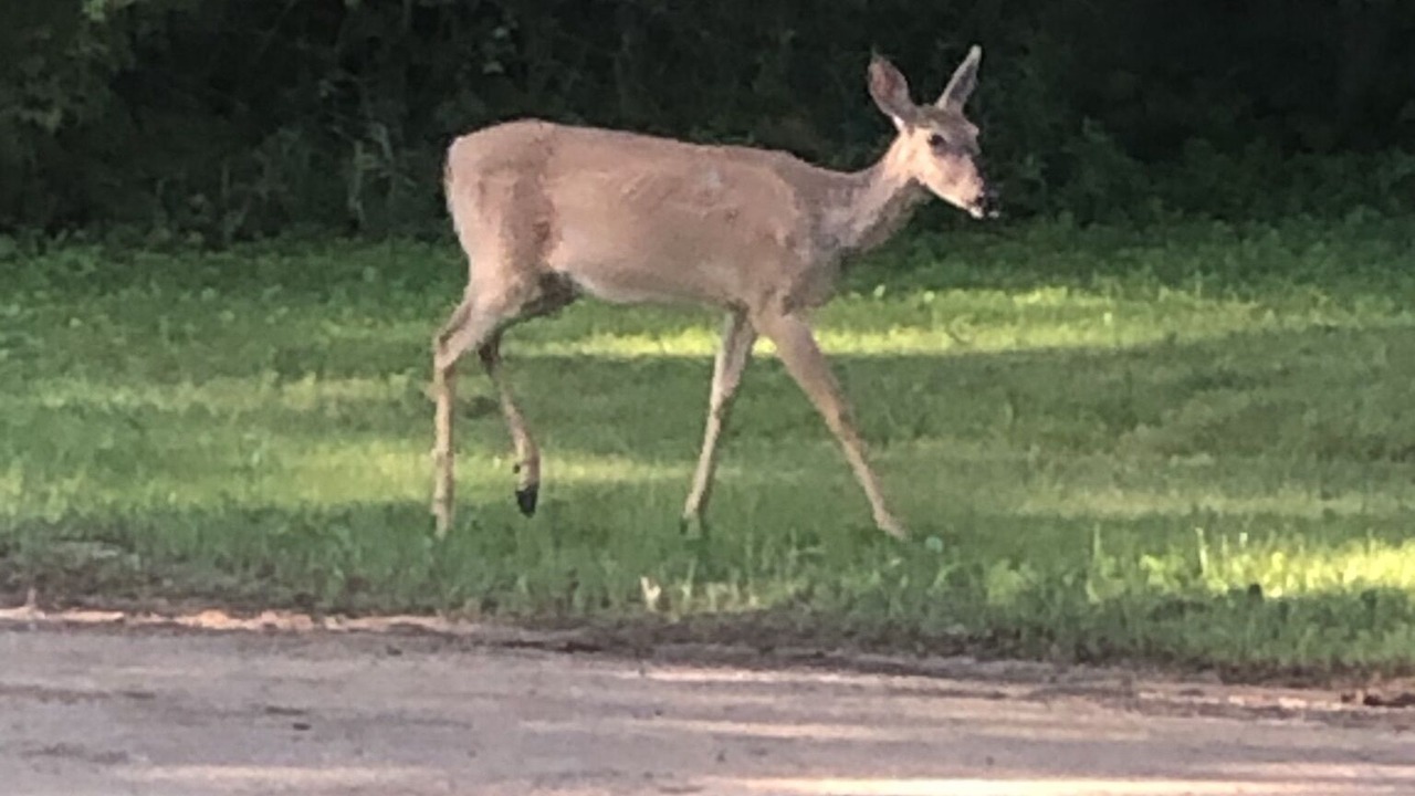 Photo of Outdoor in East Leroy