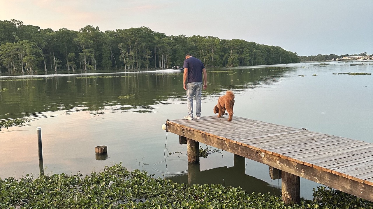 Photo of Others in Bayou Vista