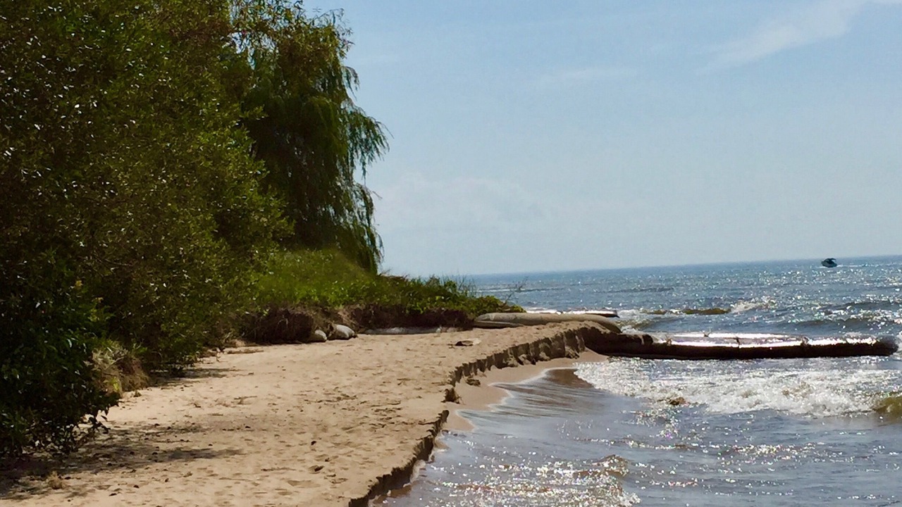 Photo of Others in Saugatuck
