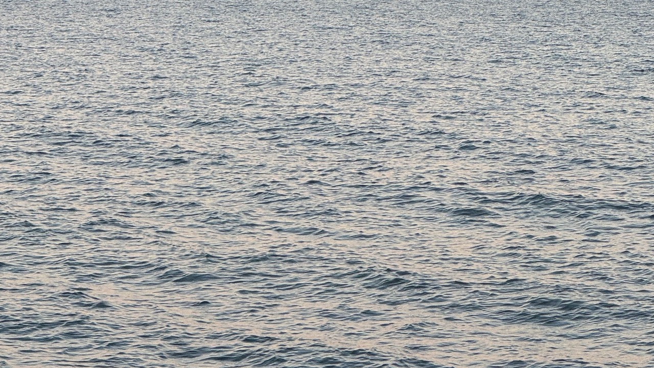 Photo of Others in Two Harbors