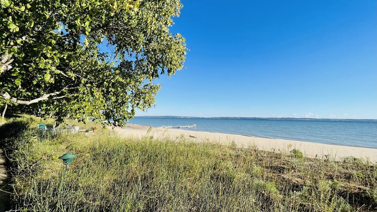 Photo of Others in Forest Beach