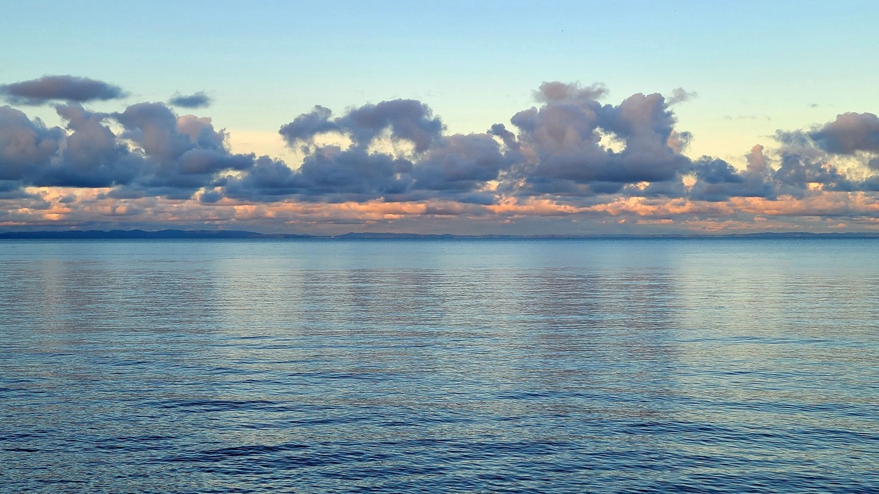 Photo of Others in Paradise