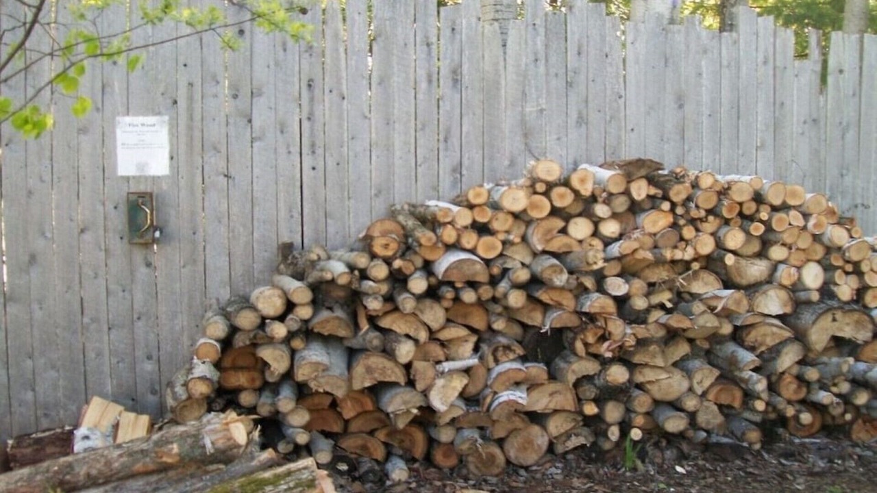 Photo of Outdoor in Alpena