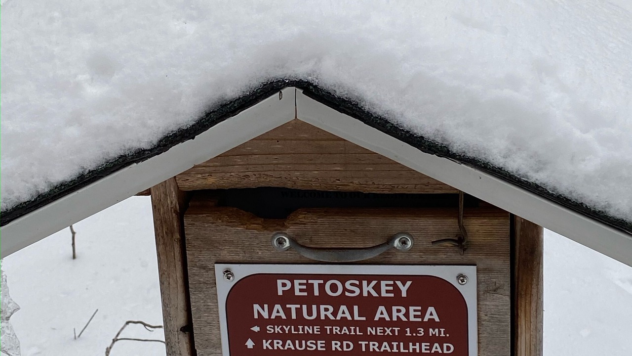 Photo of Outdoor in Petoskey